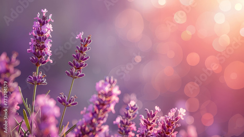   A close-up of a bouquet of flowers with a soft blur in the background  captured by the golden hour light