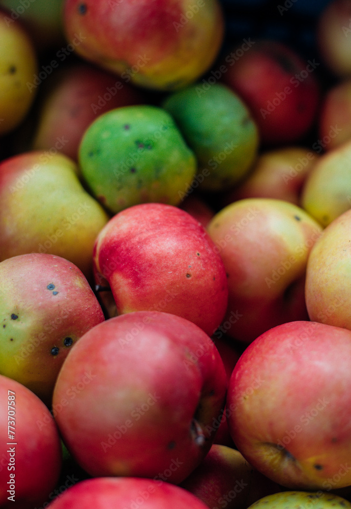 Ripe juicy apples in the box. The fruits are red and yellow in color. Autumn harvest. Ripe juicy apples in the box. The fruits are red and yellow in color. Autumn harvest.