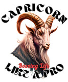 Capricorn: Bossing Life Like A Pro. capricorn astrology