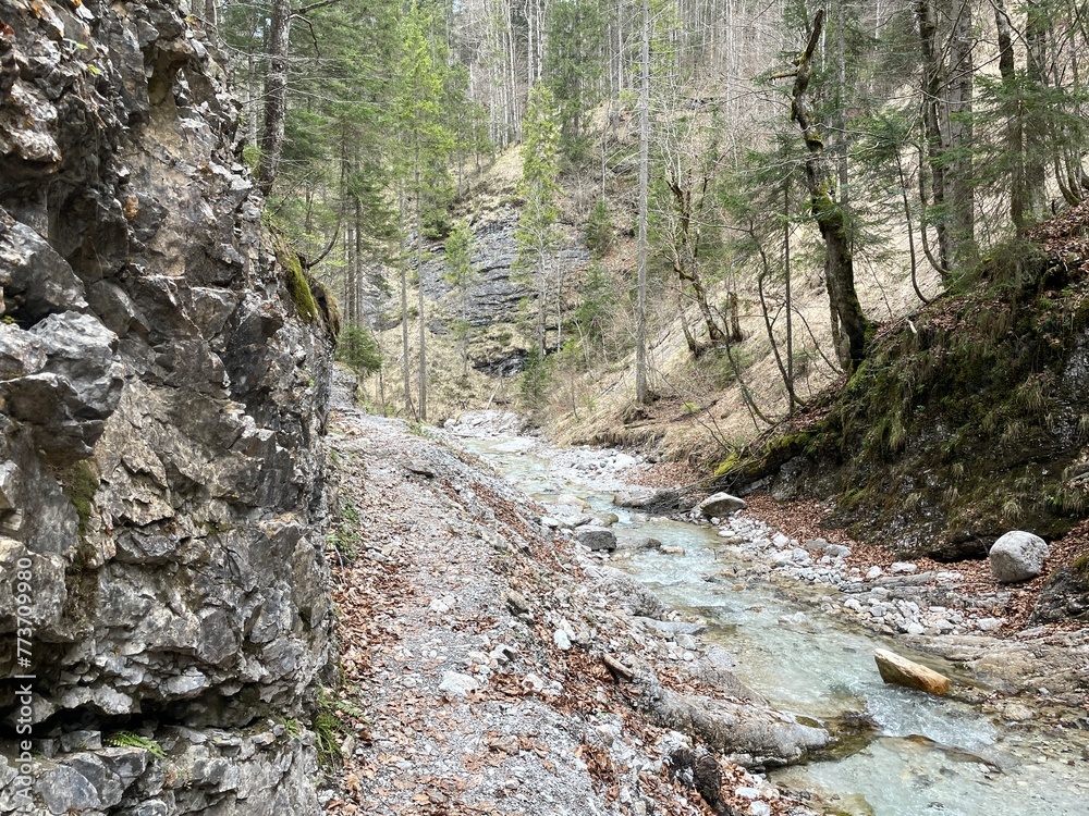 Frühlingswanderung Tirol Griesbachklamm Frühlingswanderung Tirol Griesbachklamm