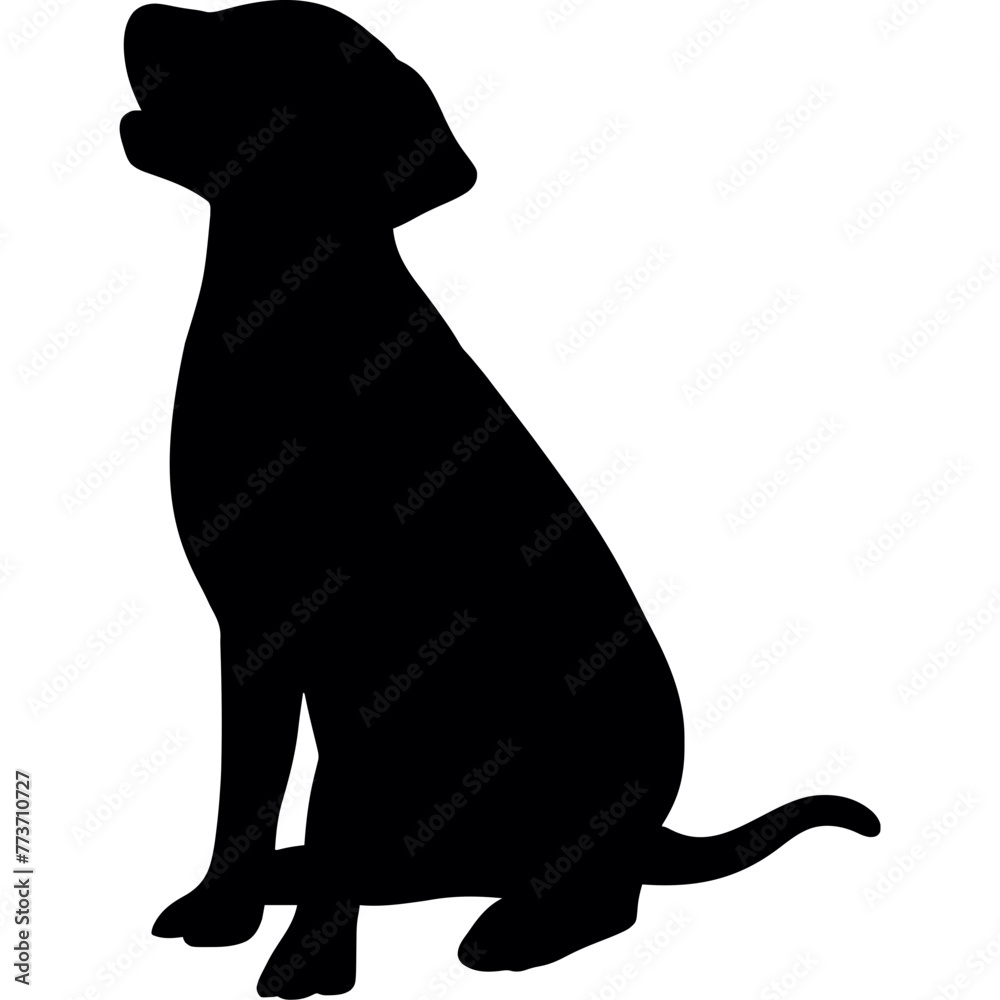 Animals silhouette vector, zoo, animal farm, Animals logos collection ...