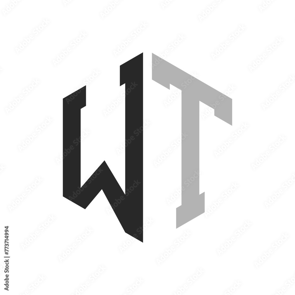 Modern Unique Hexagon Letter WT Logo Design Template. Elegant initial WT Letter Logo Concept Modern Unique Hexagon Letter WT Logo Design Template. Elegant initial WT Letter Logo Concept