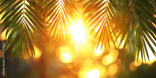 A leafy palm tree with a sun shining on it. The sun is bright and the leaves are green