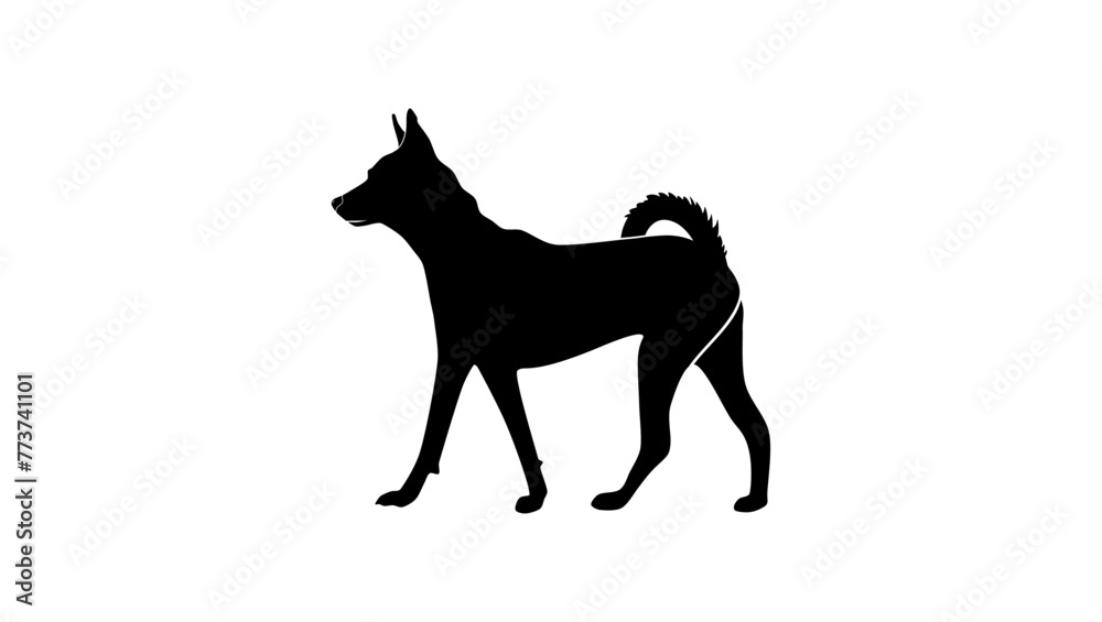 Basenji dog, black isolated silhouette