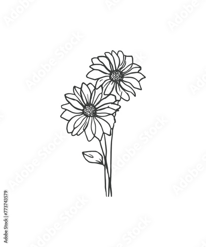 Hand drawn line art minimalist sunflower illustration. Abstract rough flower drawing. Floral and botanical clipart. Elegant flower drawing for florist branding and wedding stationery.