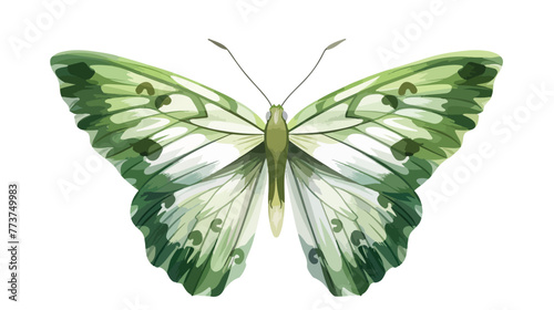 Green butterfly on white background Flat vector isolated photo