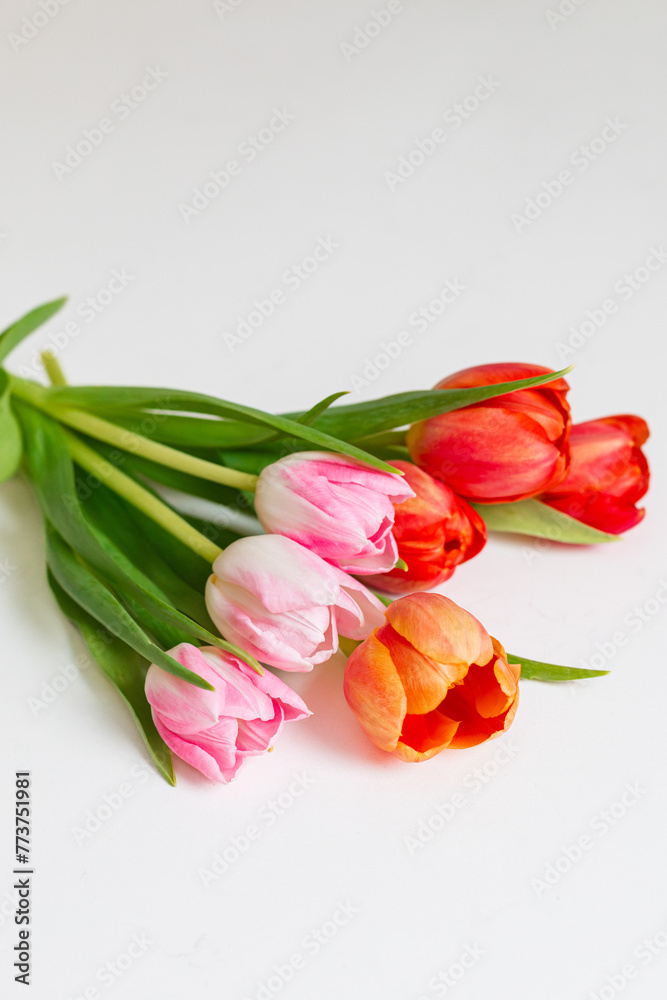 fresh spring tulips against white counter