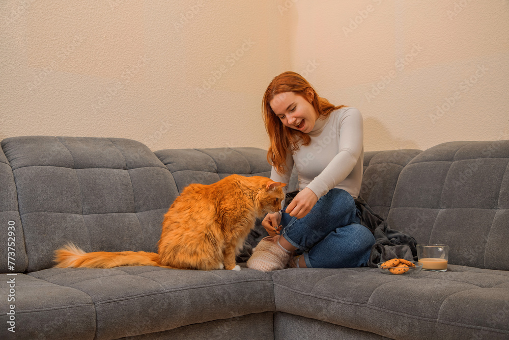 girl plays with a cat while sitting on the sofa girl plays with a cat while sitting on the sofa