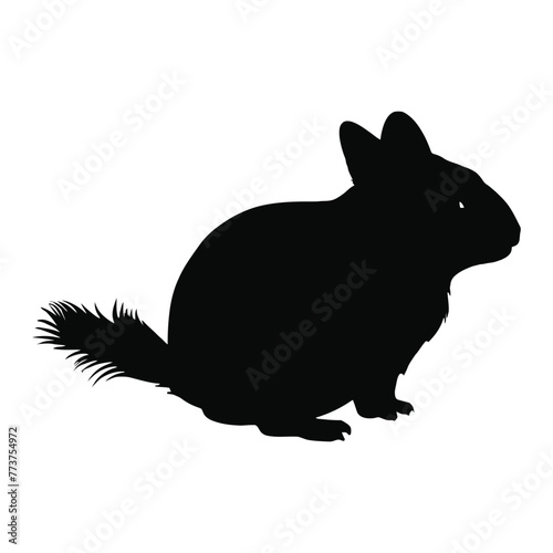 Chinchilla Silhouette