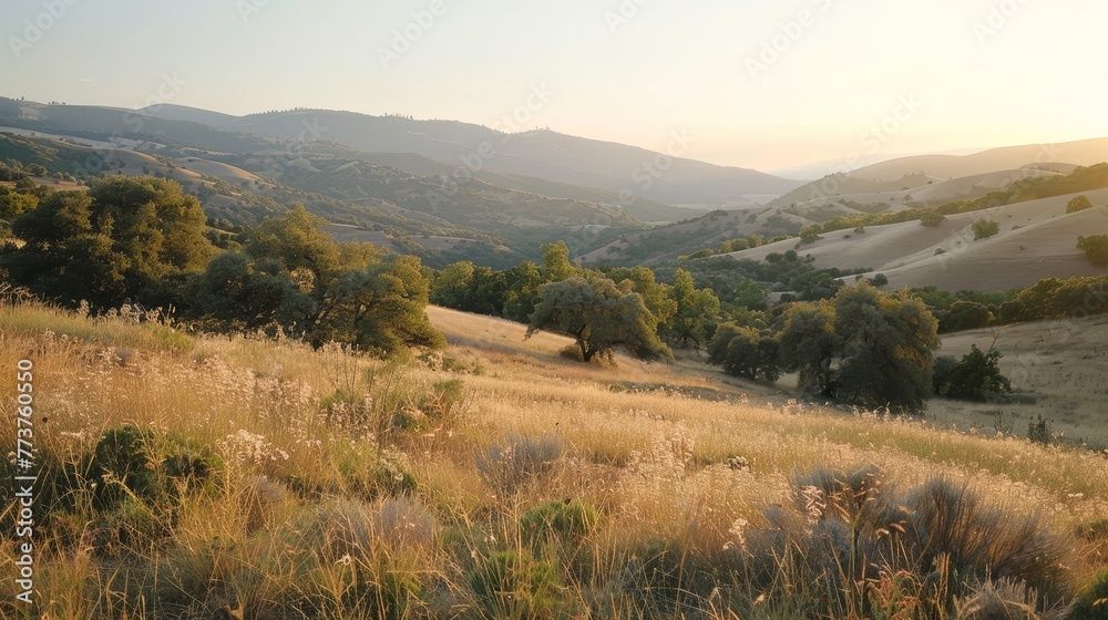 A peaceful hillside overlooking a valley with the soft light of evening AI generated illustration