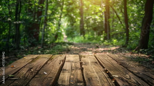 The enchanting view of a wooden pathway invitingly leading into a green, sun-drenched forest