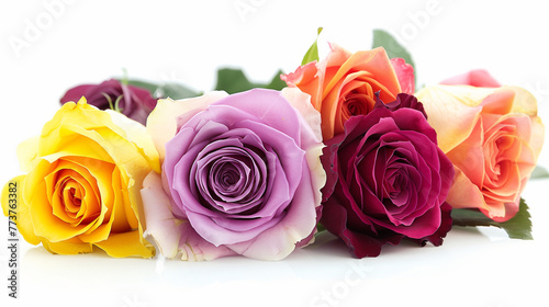 Colorful roses: orange, yellow, purple, dark pink, and white roses. isolated white background, birthday, gift, concept
