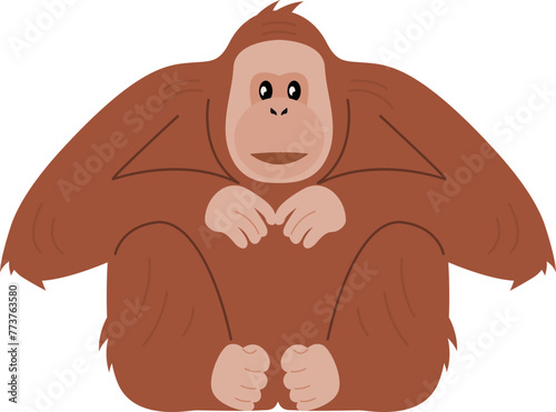 Orangutan monkey