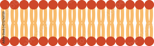 Phospholipid Bilayer Membrane