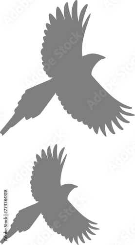 Magpie fly bird silhouette