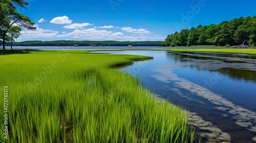 landscape with lake high definition(hd) photographic creative image