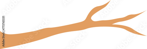 Tree Branch