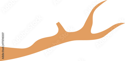 Tree Branch