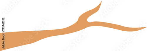 Tree Branch