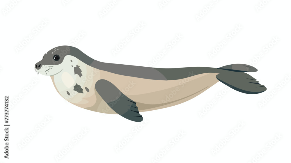 Cartoon seal swimming on white background flat vector - obrazy, fototapety, plakaty 