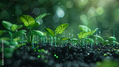Sprouting Seedlings with Digital Rain Concept