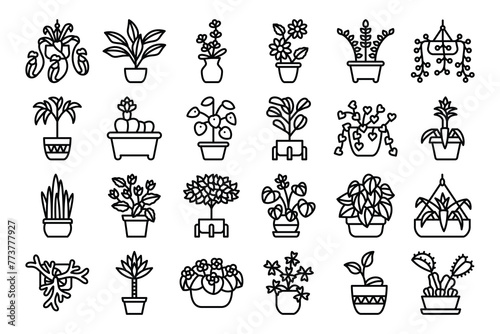 Indoor plant outline icon vector 