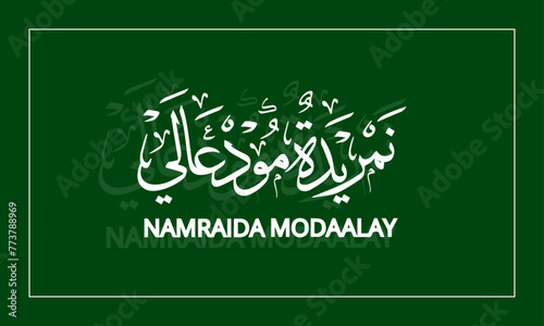 NAMRAIDA MODAALAY  Name in  Calligraphy logo