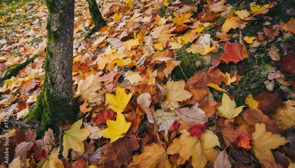 Nature's Carpet: Autumn Leaves Painting the Ground in Hues of Fall Nature's Carpet: Autumn Leaves Painting the Ground in Hues of Fall