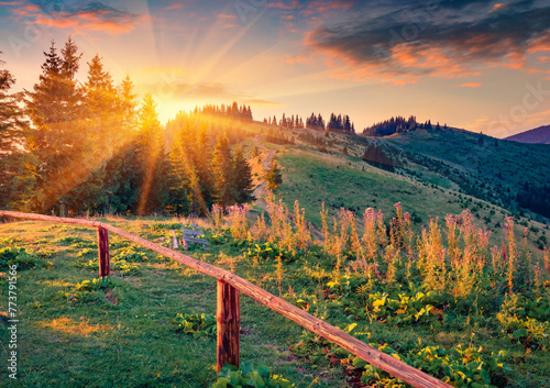 Exciting summer sunrise in Carpathian mountains. Sunny morning view of Zamahora village located on the mountain hills, Ukraine, Europe. Beauty of countryside concept background. © Andrew Mayovskyy
