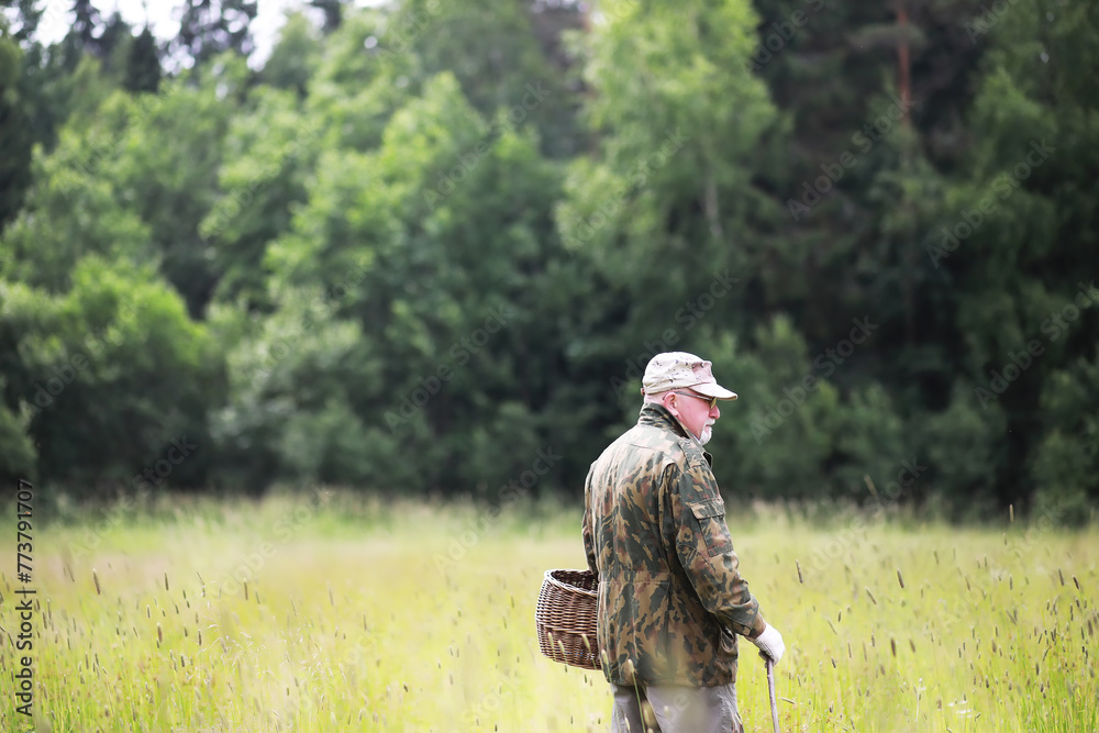 A man walks across the field into the forest for mushrooms. The mushroom picker goes to the forest. A man walks across the field into the forest for mushrooms. The mushroom picker goes to the forest.