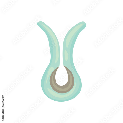 Erection ring on white background
