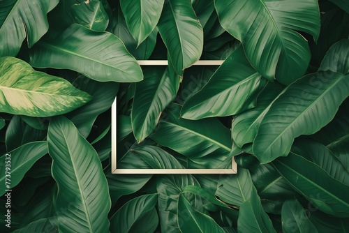 Creative layout made of tropical leaves, Flat lay, Nature concept