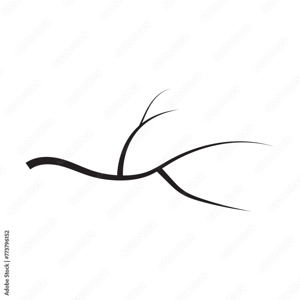 Tree Branches Tree Branches