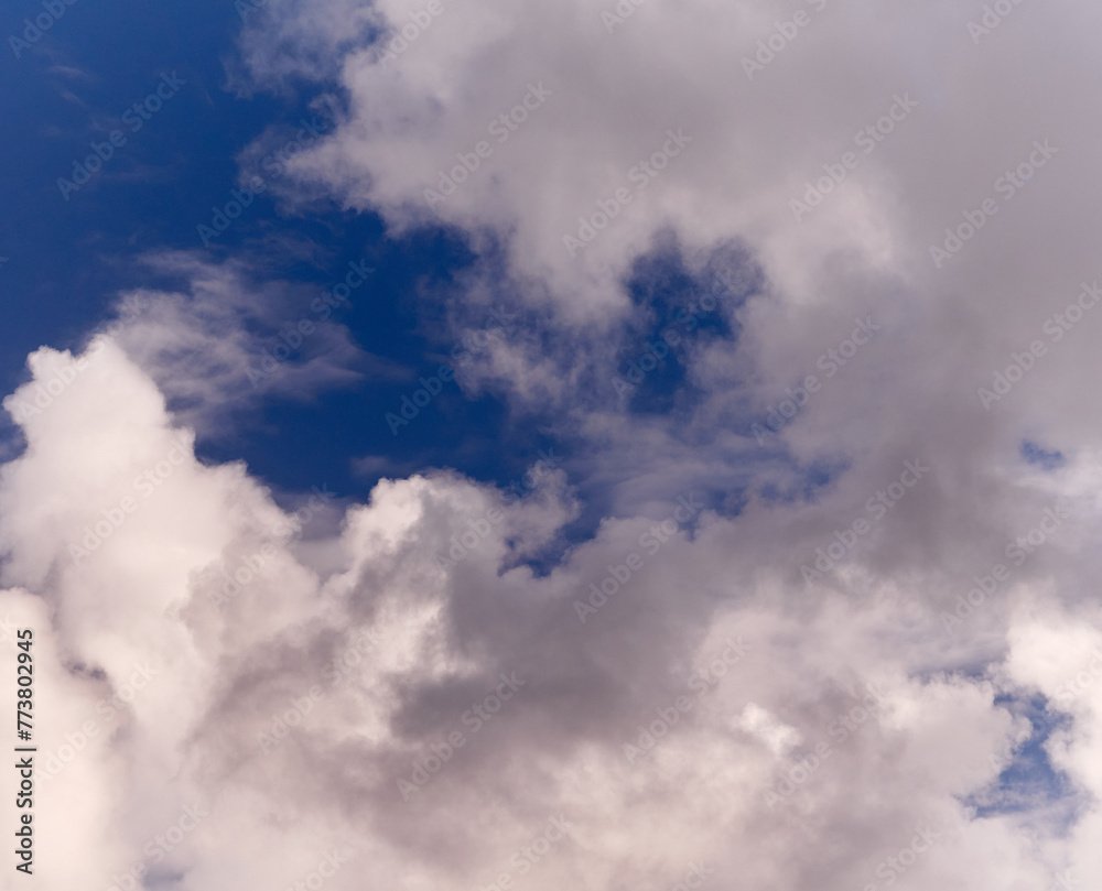 White fluffy cumulus clouds in the summer sky, natural clouds background