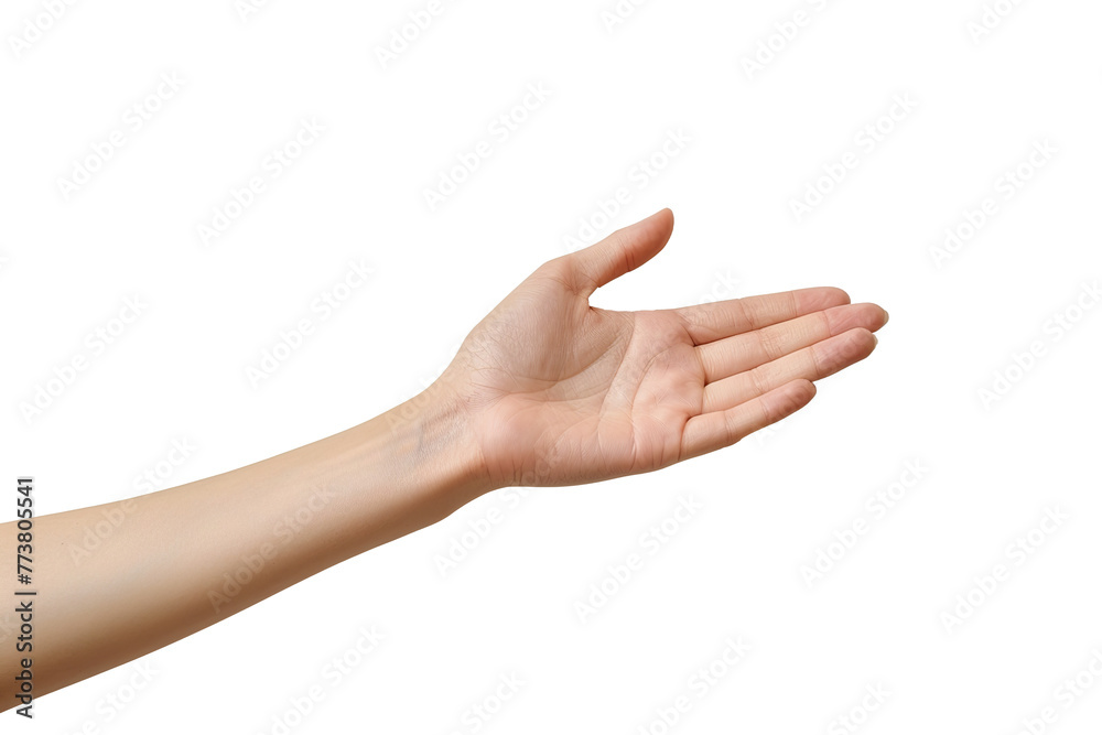 people hands transparent
people hands transparent