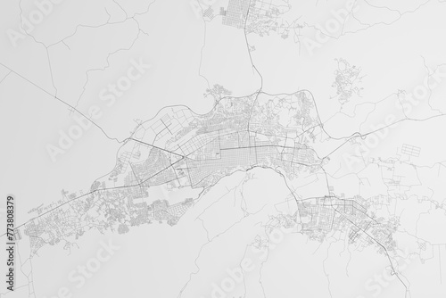 Map of the streets of Barquisimeto (Venezuela) on white background. 3d render, illustration