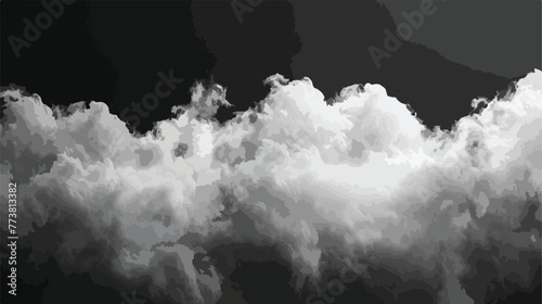 Luxury and modern Black and white smooth background.