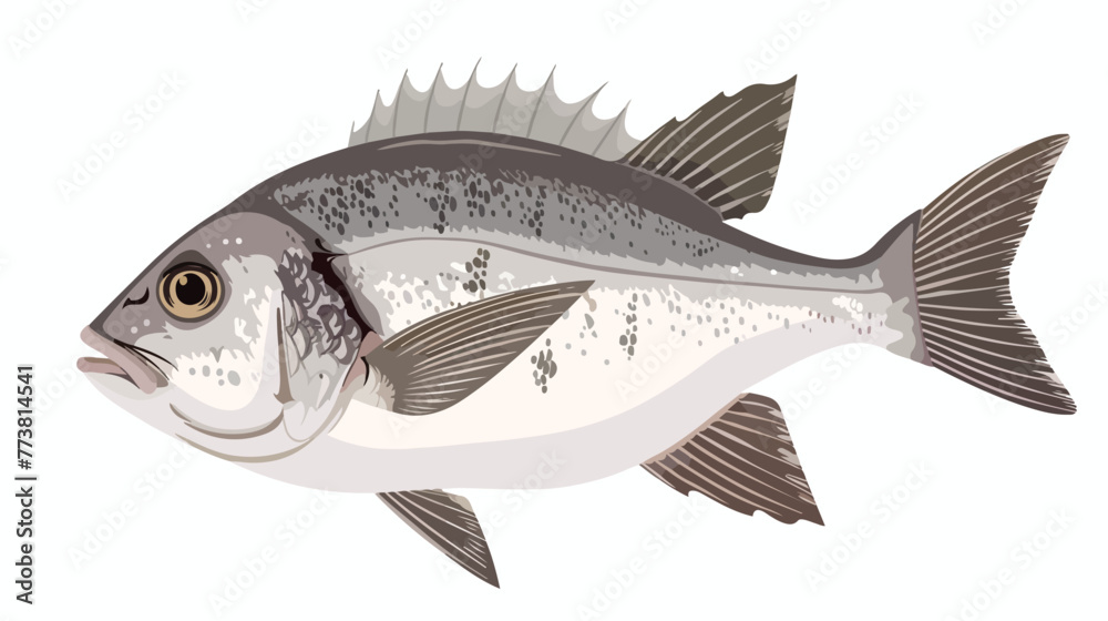 Sea bream From the Dictionary of Word and Things flat