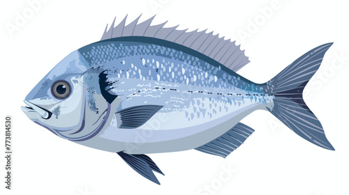 Sea bream From the Dictionary of Word and Things flat