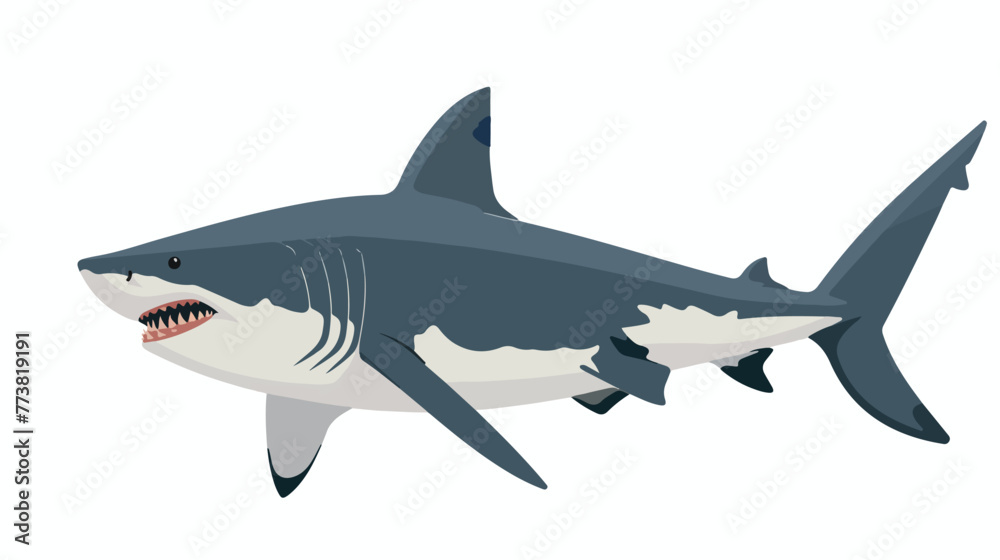 Rendered illustration of a shark Flat vector 