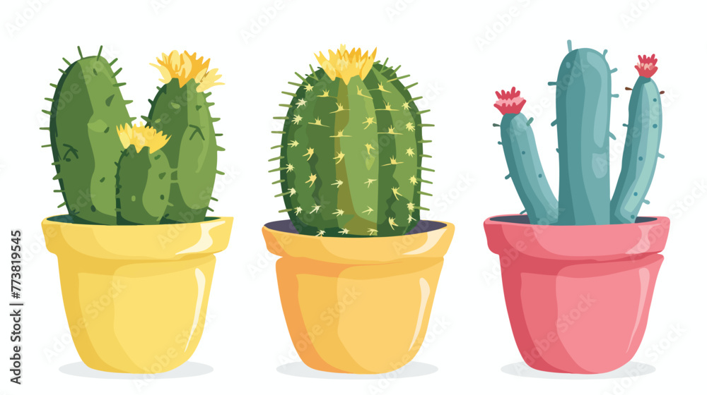Triple baby cactus in the pot vector  flat vector isolated