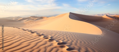 Footprints mark the sandy surface of a graceful sand dune in a vast desert landscape  with majestic mountains in the distance
