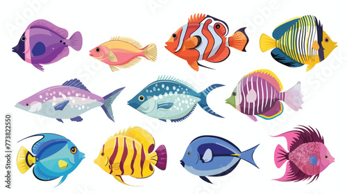 Vector of aquarium fish. Colorful flat design. .  flat © RedFish