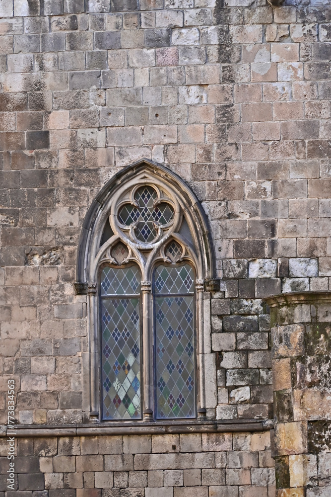 Obraz premium Barcellona, contrafforti, torri e particolari della Cattedrale della Santa Croce e di Santa Eulalia - Catalogna, Spagna 
