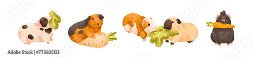 Funny guinea pig characters eating food set. Cute fluffy cavies, baby rodents. Adorable kawaii comic pets with vegetables, leaf, feeding. Kids flat vector illustration isolated on white background photo