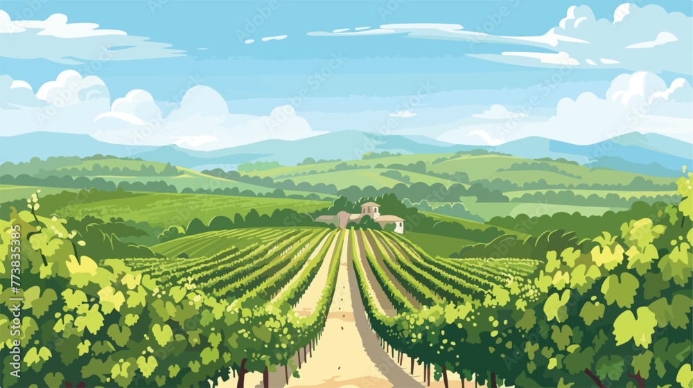 Wide view of vineyard. Vineyard landscape panorama.