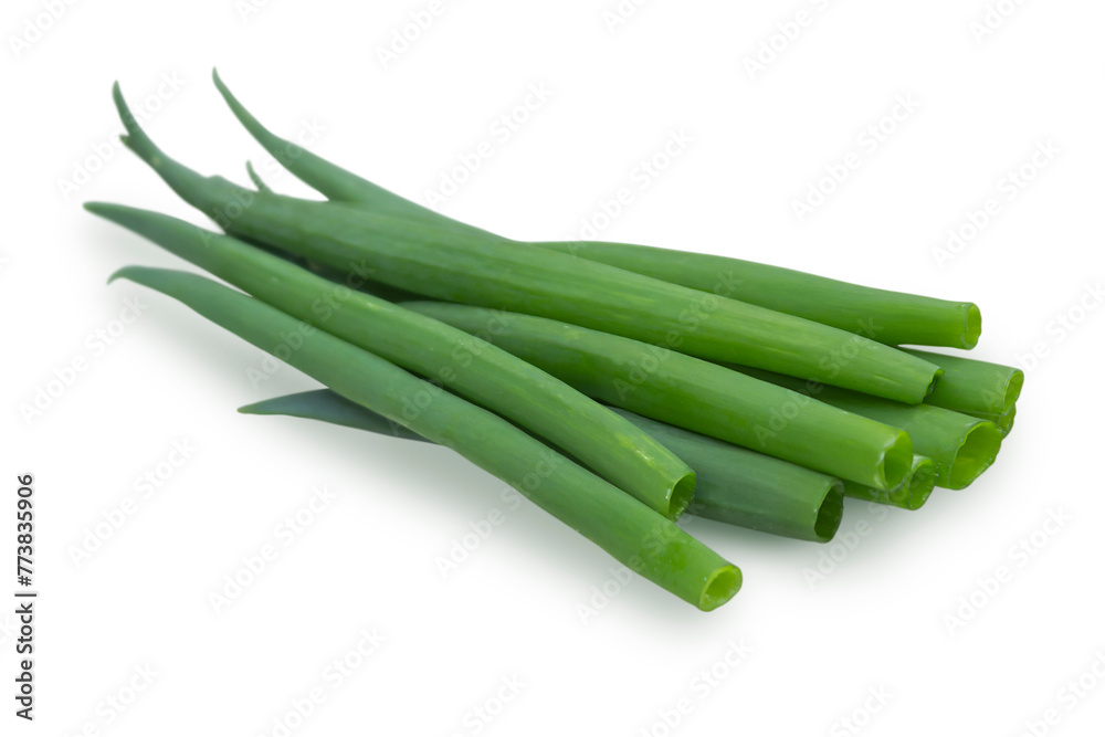 Bouquet of green onions isolated on white background. Bouquet of green onions isolated on white background.