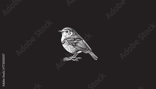 sparrow, sparrow design, sparrow design logo, art, wings, sitting