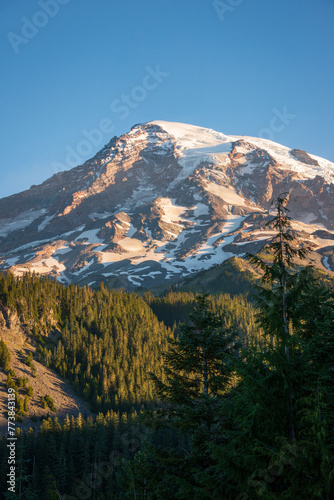 View of Forest and Snow Capped Mountain at Mount Rainier National Park in Washington State