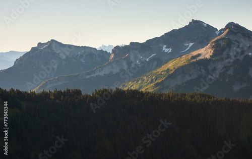 Overlook of the Forest and Mountain Range at Mount Rainier National Park in Washington State photo